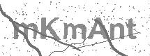 visual captcha